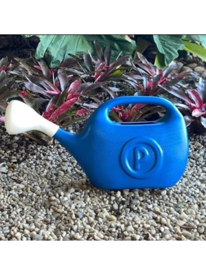 Regador Plástico 5,5L com Chuveirinho – Jardim, Horta, Plantas, Verde ou Azul Econômico