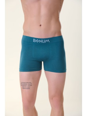 Cueca Boxer Adulto Verde M Masculina com Tecido Macio, Cós Reforçado e Modelagem Anatômica para Máximo Conforto no Uso Diário