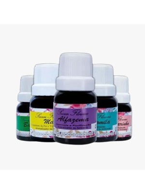 ESSÊNCIA LIMPEZA PESADA E DESCARREGO 10ML UN.