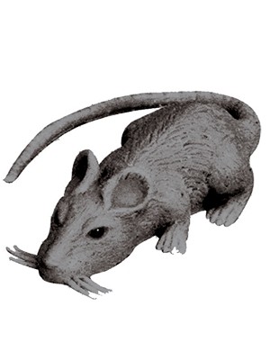 RATO GRANDE DE PLASTICO UN.